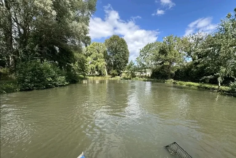 Chantier d’entretien plan d'eau et lagune curage faucardage arrachage